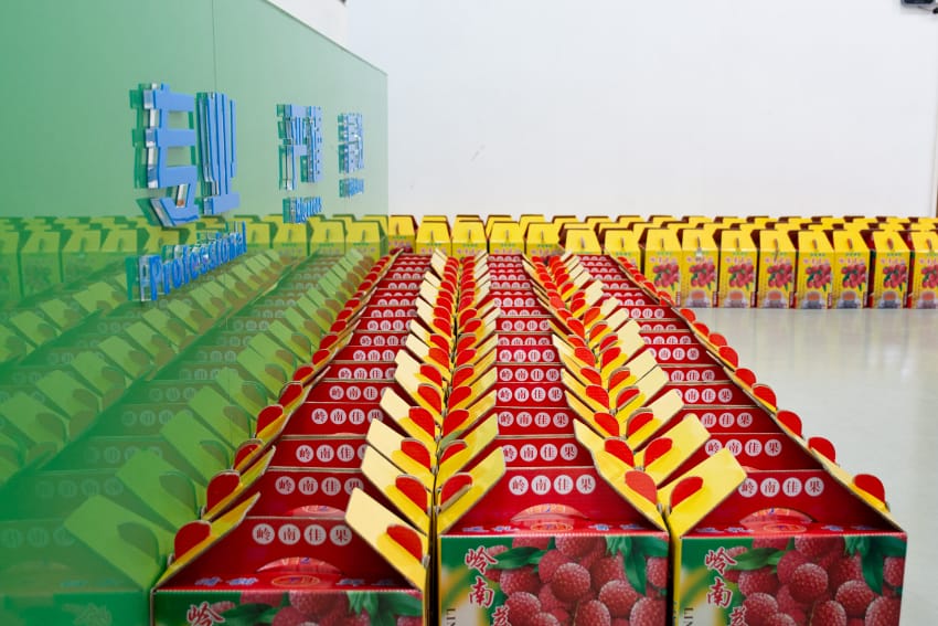 祥科端午發粽子